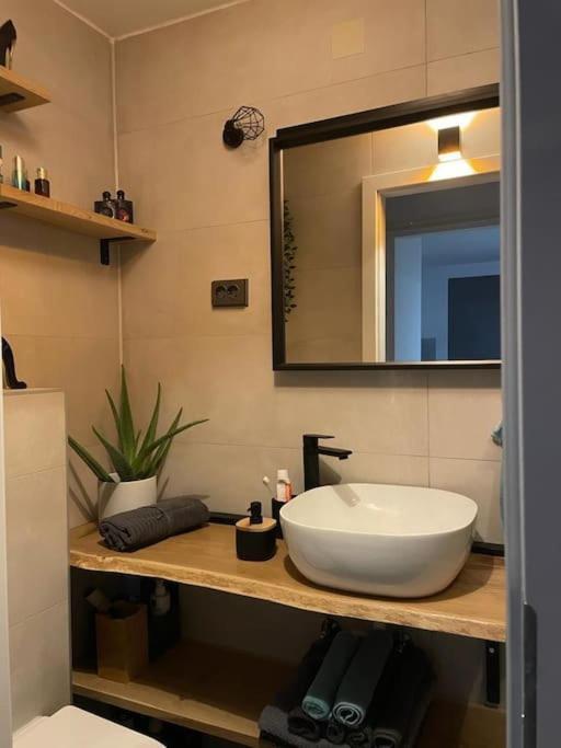 Prekrasan Mali Stan Matilda U Zagrebu Apartma