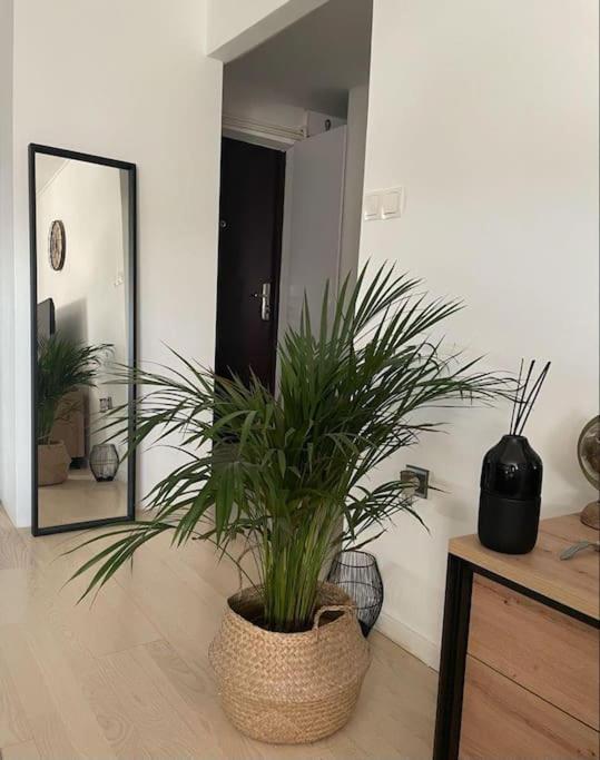 Apartma Prekrasan Mali Stan Matilda U Zagrebu